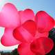 Red Heart Balloons